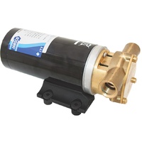 Jabsco Maxi Puppy 3000 24V HD  Pump 44LPM J40-115 Continuous Rated
