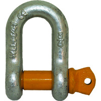 Yellow Pin Rated D Shackle 6mm SWL 500kg